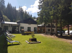 Гостиница Casa Alpina Dobbiaco  Доббиако